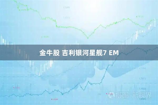 金牛股 吉利银河星舰7 EM