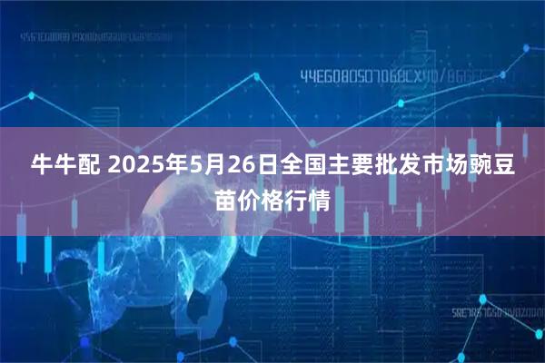牛牛配 2025年5月26日全国主要批发市场豌豆苗价格行情